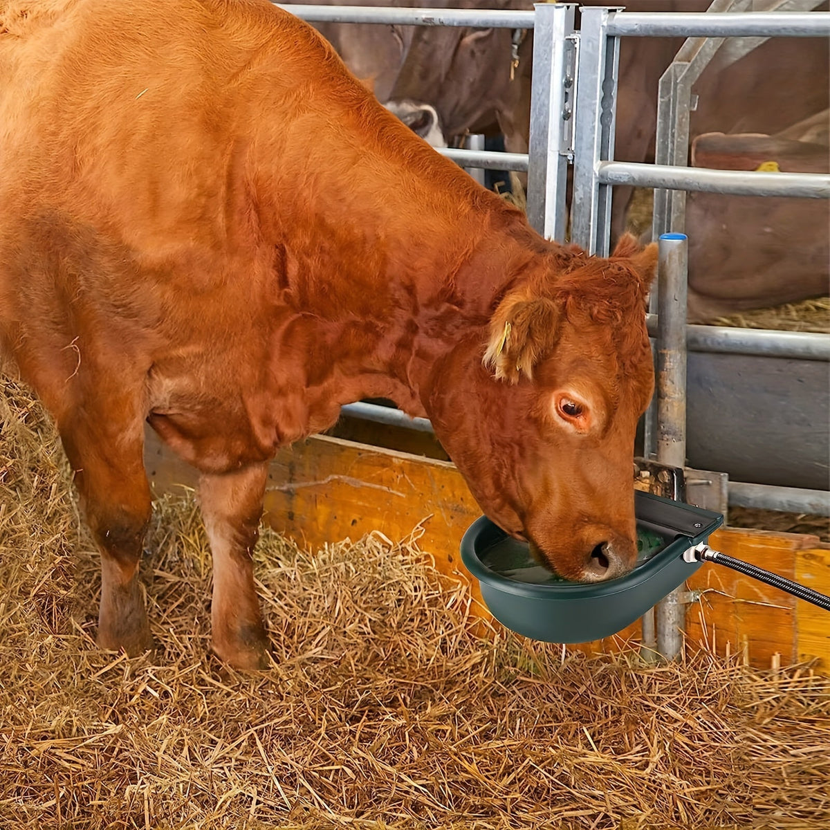 Automatic Water Trough Bowl For Livestock LPT