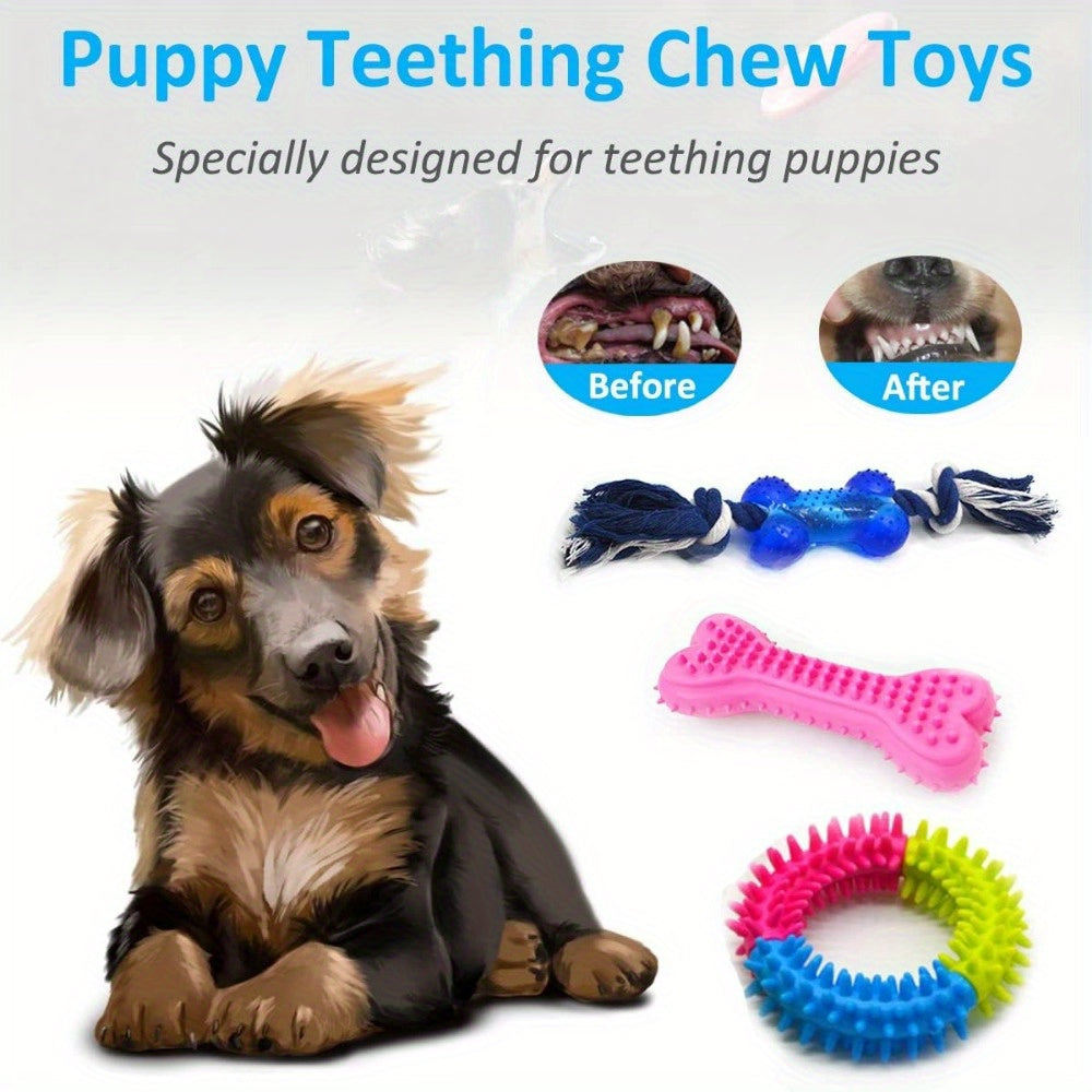 Dog Chew Toy Set Assortment (15-Pack)-1