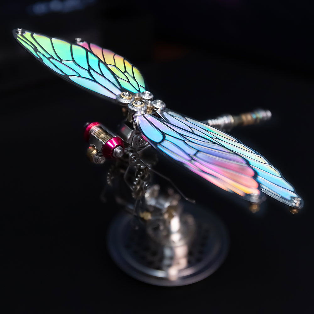 Dragonfly Metal Time Workshop