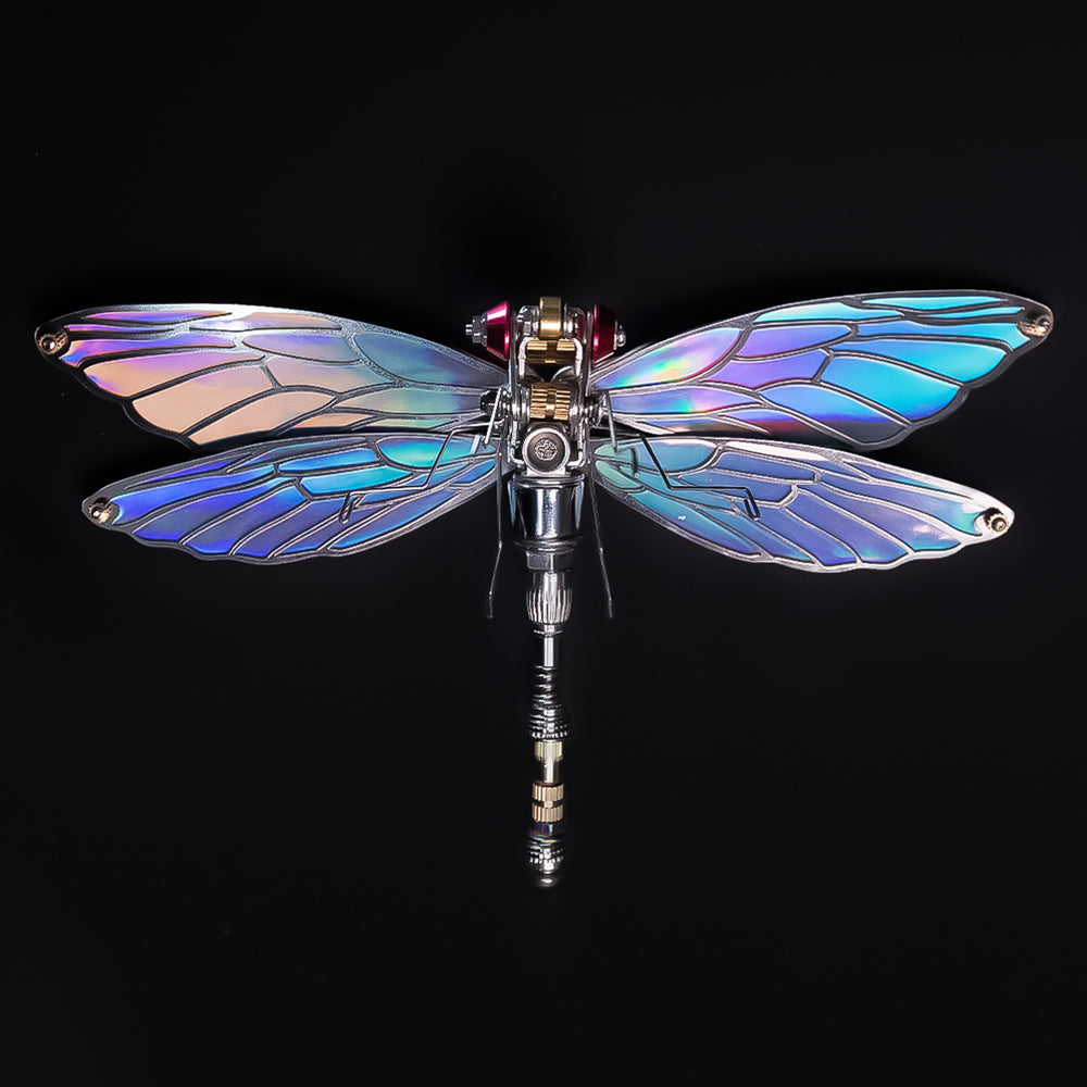 Dragonfly Metal Time Workshop