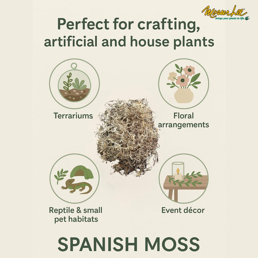 Mosser Lee ML0560 Spanish Moss, 250 Cubic Inches Jansha Store