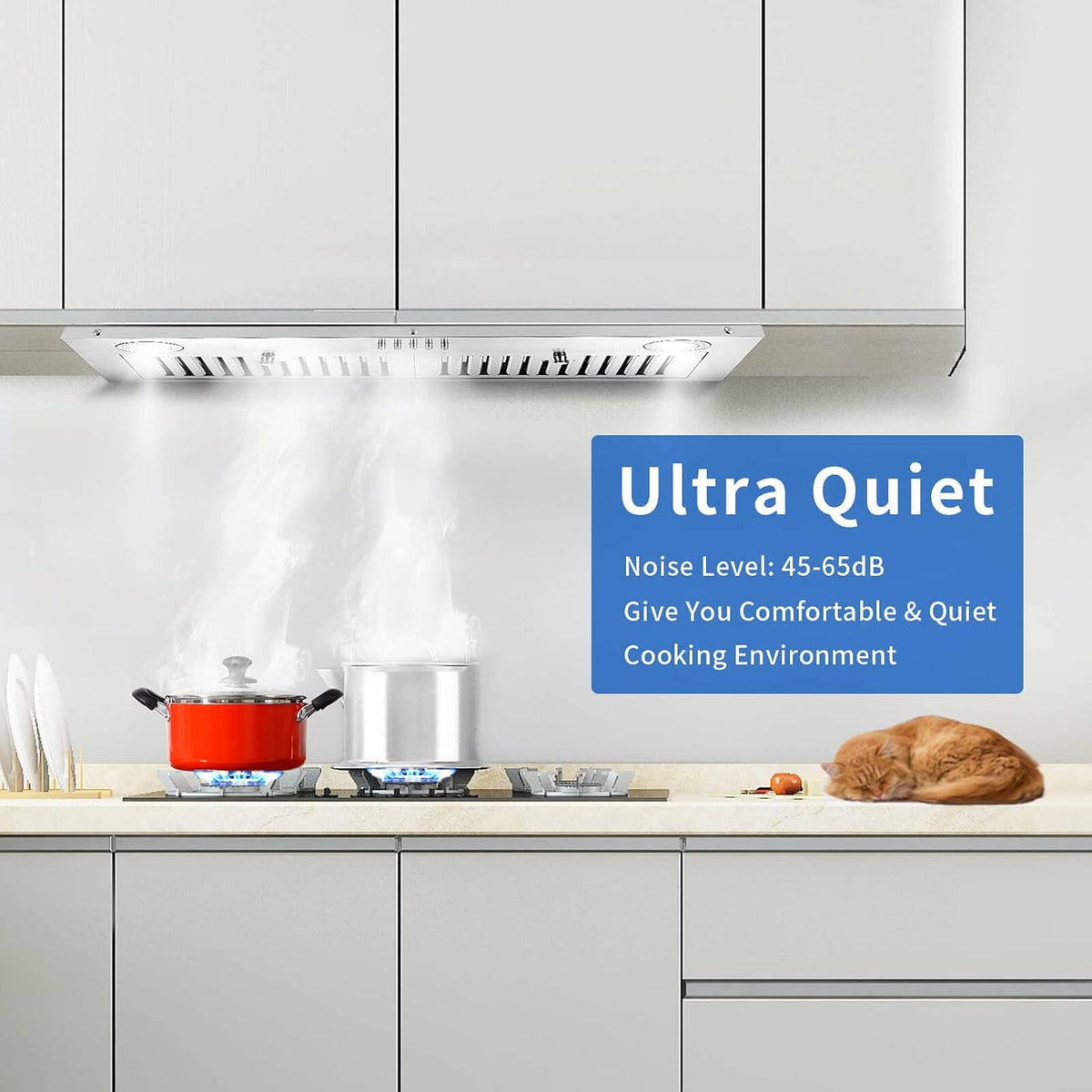 Range Hood Insert 30 inch,Stainless Steel Kitchen Vent Hood 600CFM,Built-in Kitchen Stove Hood w/Front Button Controls and Front LED Lights,Baffle Filters,Ducted/ductless Convertible Duct Jansha Store