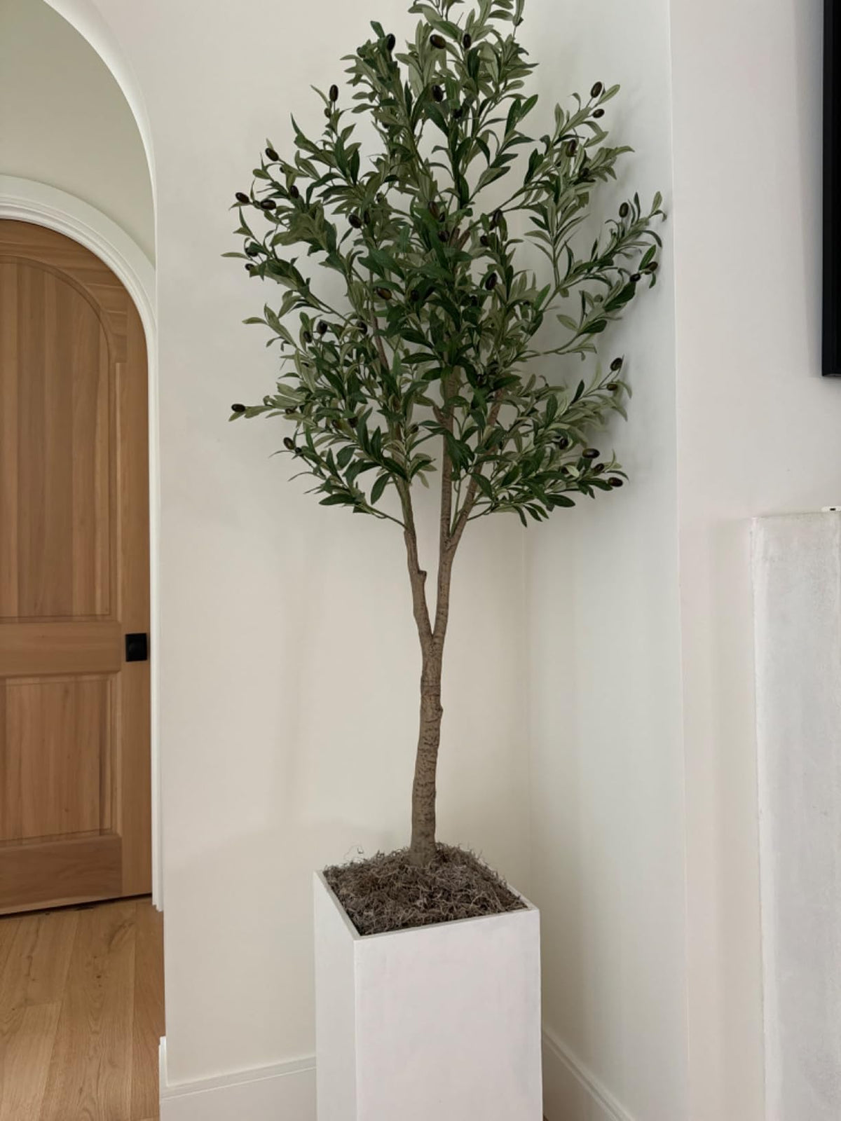 Mosser Lee ML0560 Spanish Moss, 250 Cubic Inches Jansha Store
