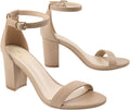 Ankis Heels for Women Open Toe Ankle Strap Chunky Heel Sandals 2.75 Inch Jansha Store