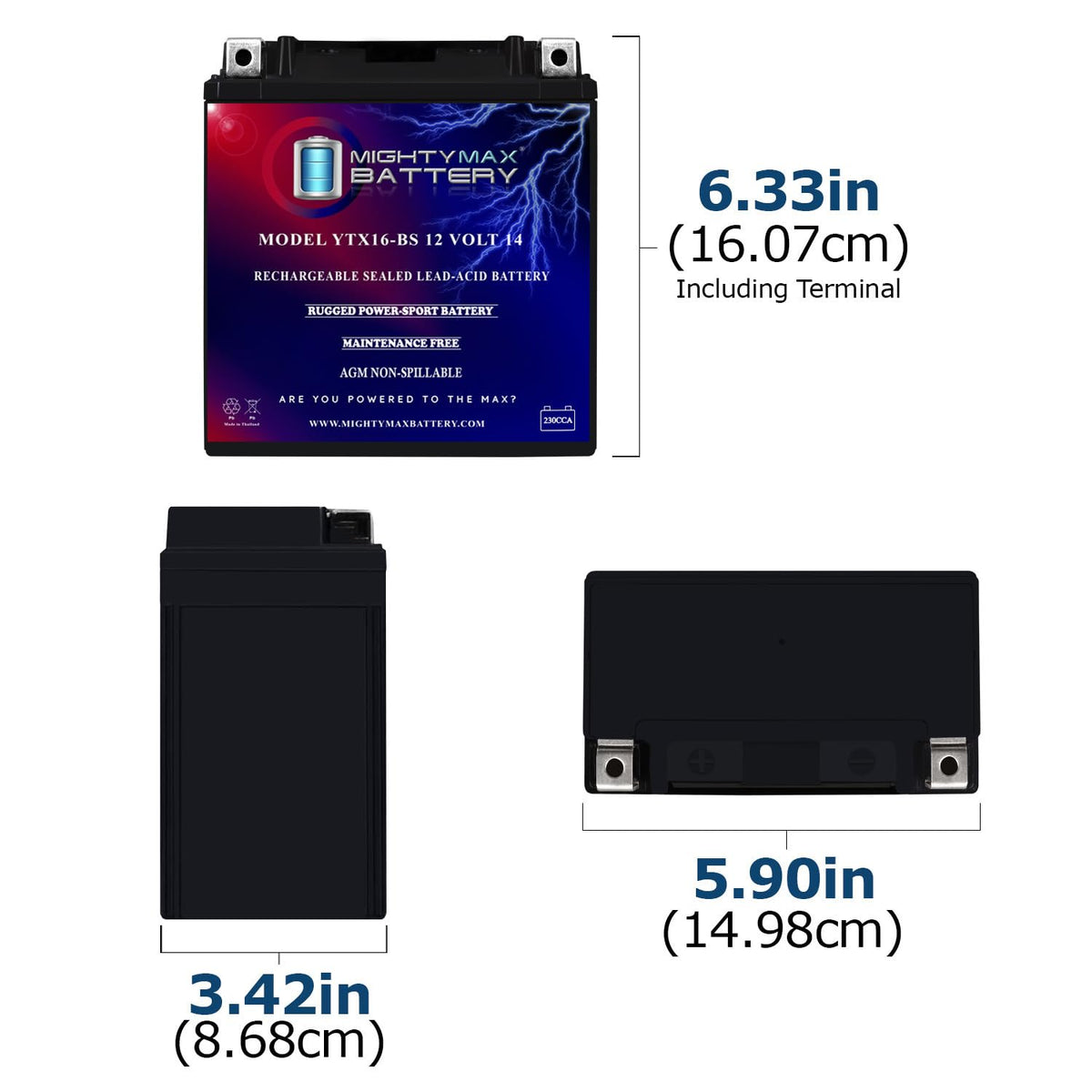 Mighty Max Battery YTX14-BS - 12 Volt 12 AH, 200 CCA, Rechargeable Maintenance Free SLA AGM Motorcycle Battery Jansha Store