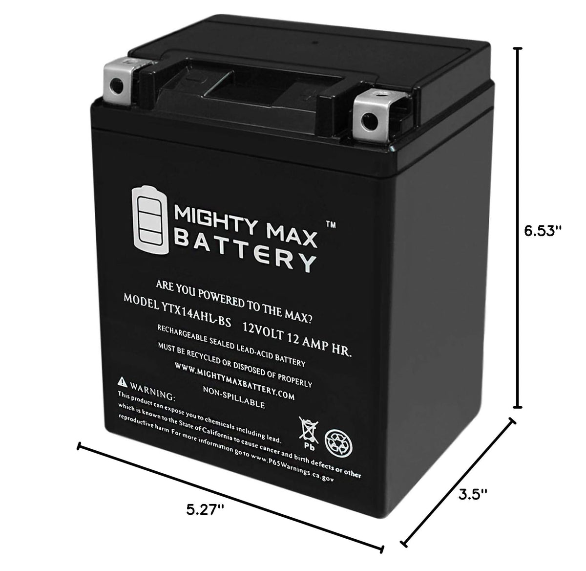 Mighty Max Battery YTX14-BS - 12 Volt 12 AH, 200 CCA, Rechargeable Maintenance Free SLA AGM Motorcycle Battery Jansha Store