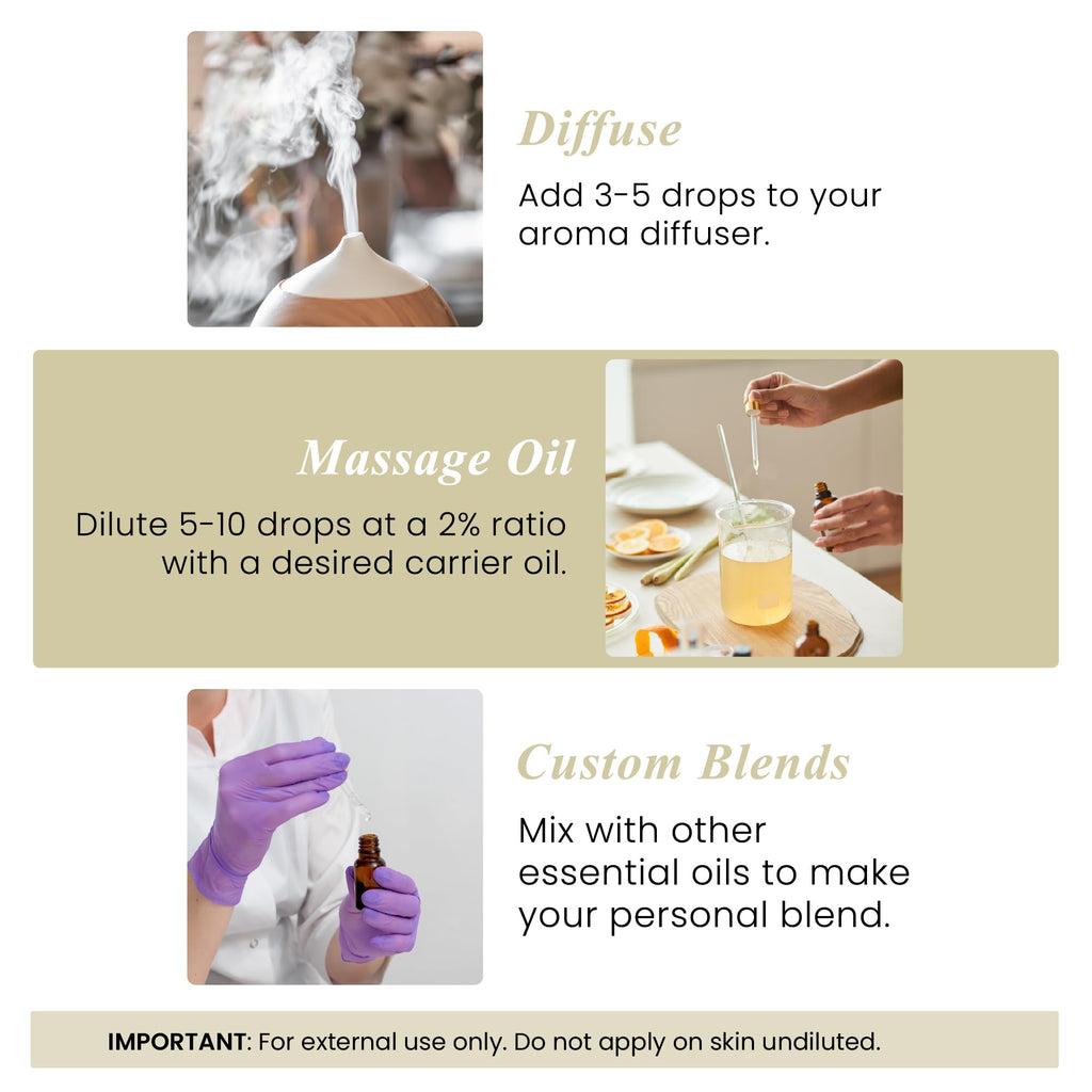Handcraft Blends Eucalyptus Essential Oil - Huge 4 Fl Oz Jansha Store