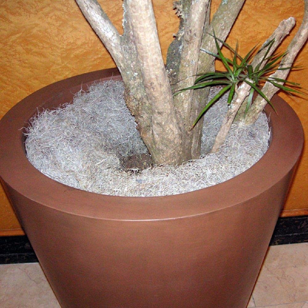 Mosser Lee ML0560 Spanish Moss, 250 Cubic Inches Jansha Store