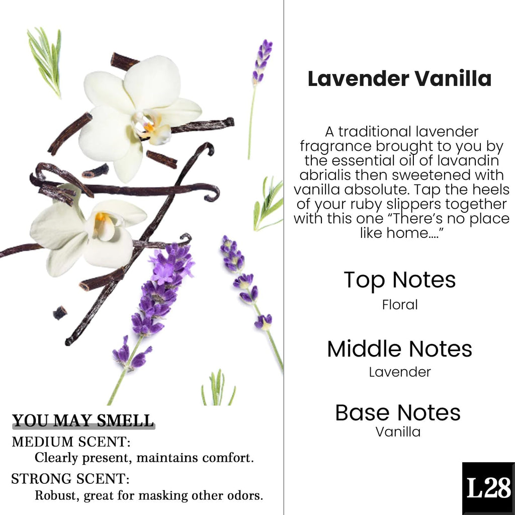 HoogaLife Car Air Freshener Diffuser 2 Pack Hanging Air Freshener Diffuser - Vanilla Cream Fragrance Oil Air D iffuser for Car, 45+ days Long Lasting Fragrance Made in USA C ar Air Fresheners (V54) Jansha Store