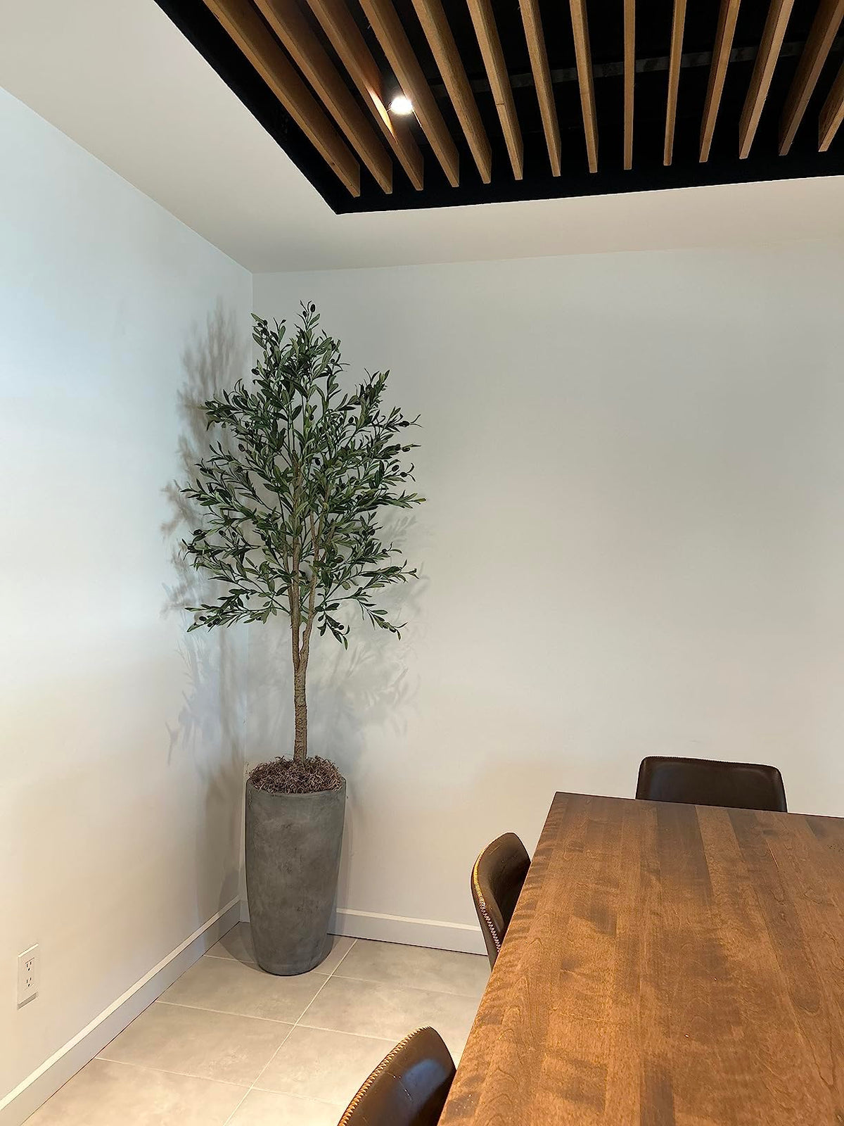 Mosser Lee ML0560 Spanish Moss, 250 Cubic Inches Jansha Store