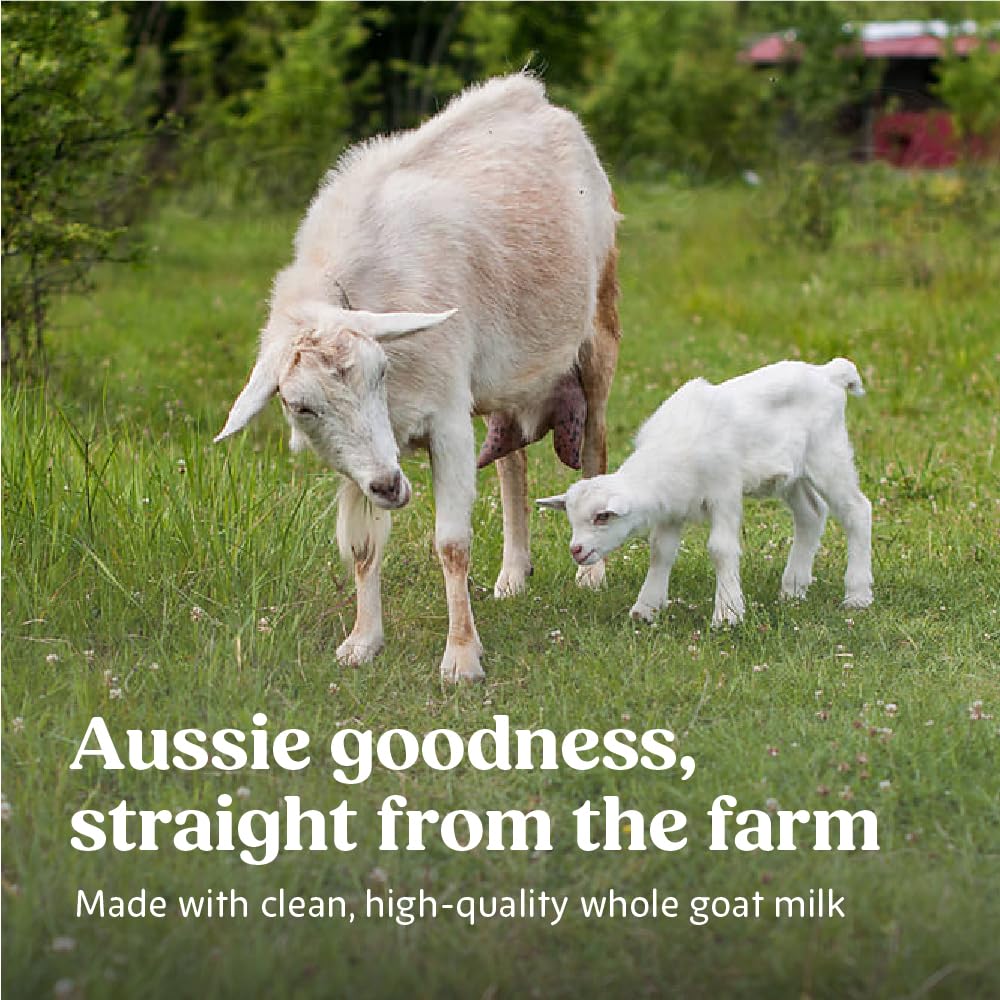 Bubs Whole Goat Milk Infant Formula for 0-12 Months, Non-GMO Milk, 20 oz Jansha Store