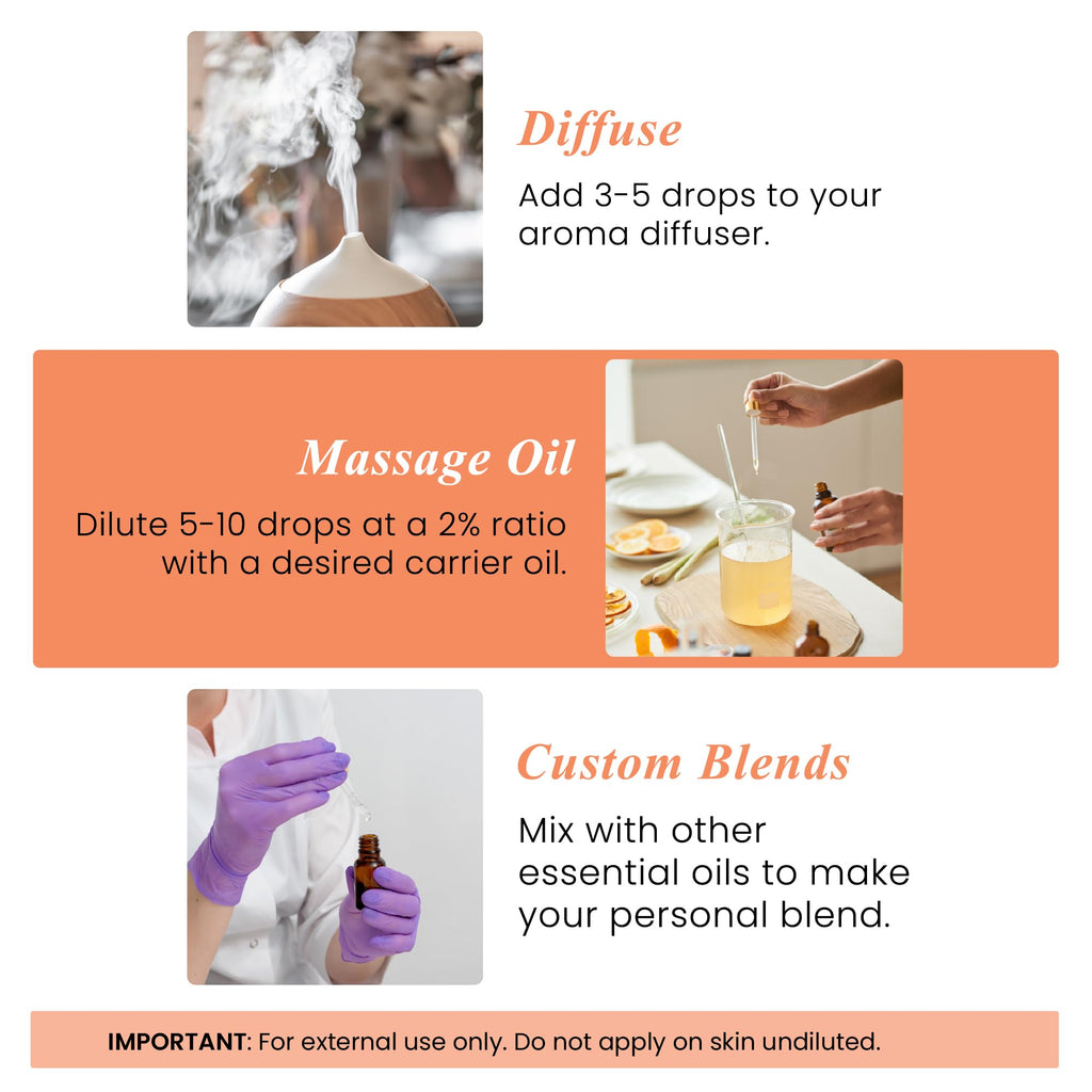 Handcraft Blends Eucalyptus Essential Oil - Huge 4 Fl Oz Jansha Store