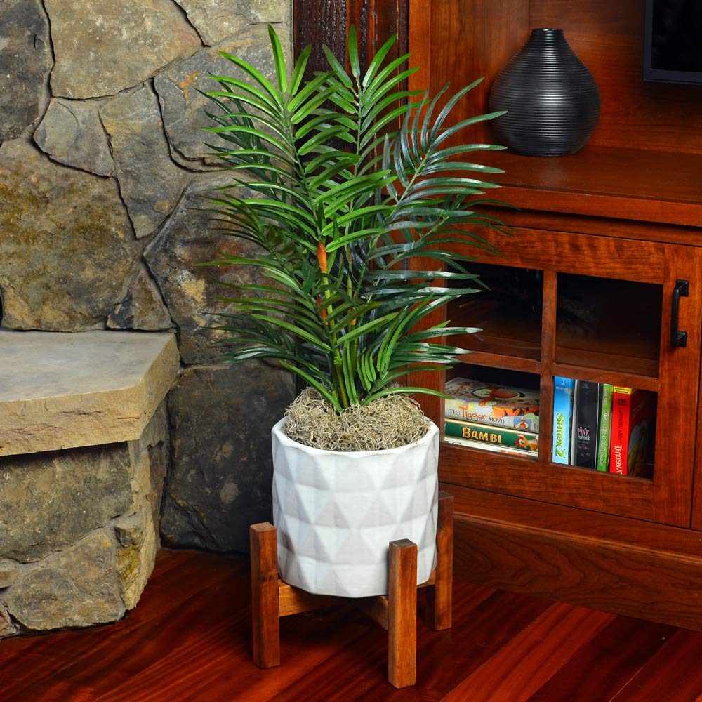 Mosser Lee ML0560 Spanish Moss, 250 Cubic Inches Jansha Store