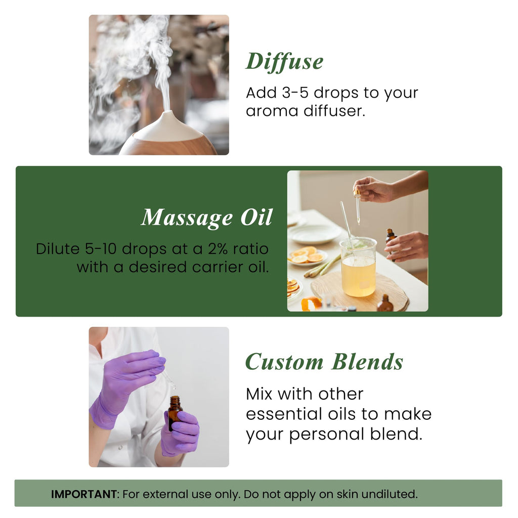 Handcraft Blends Eucalyptus Essential Oil - Huge 4 Fl Oz Jansha Store