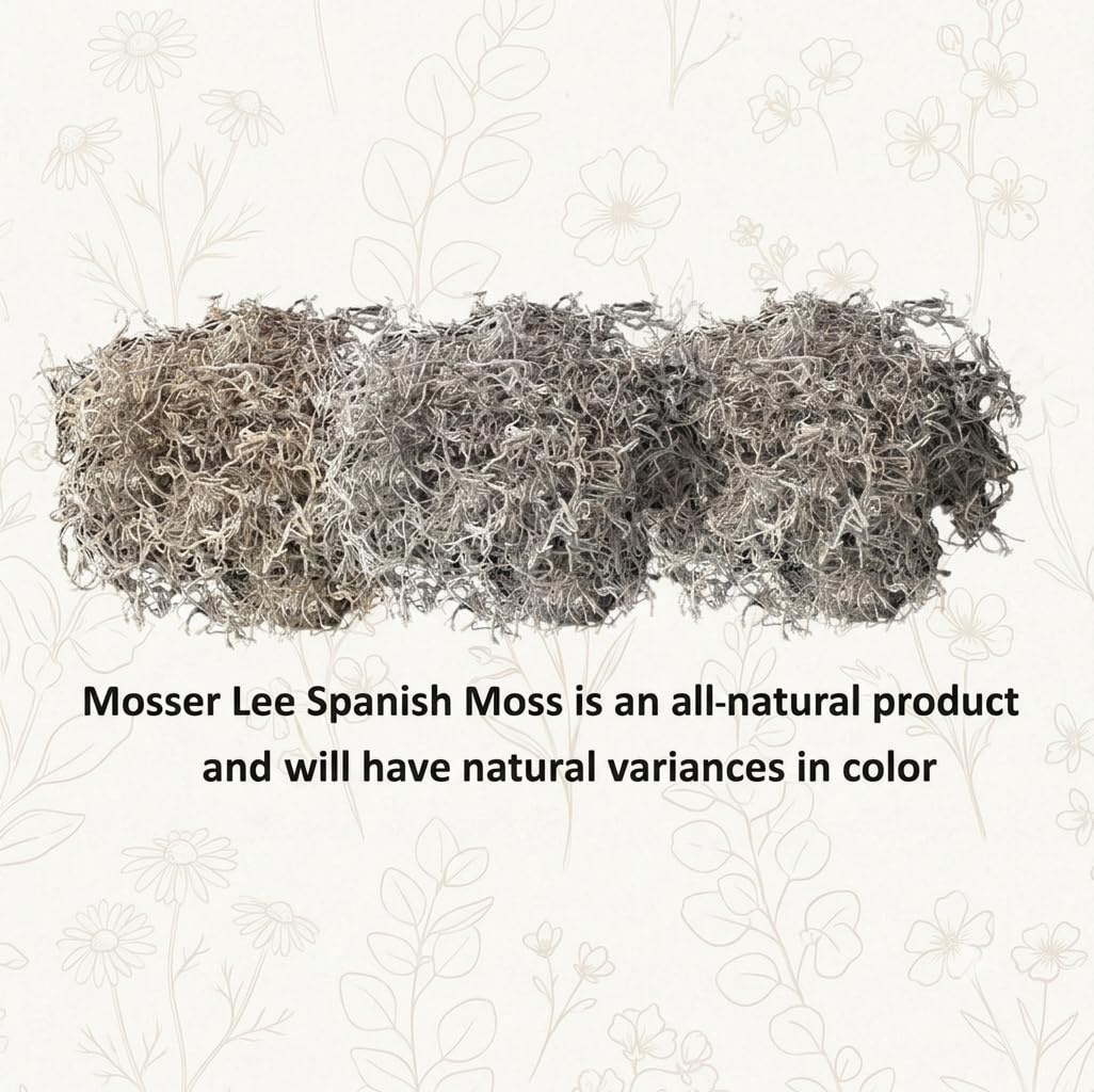Mosser Lee ML0560 Spanish Moss, 250 Cubic Inches Jansha Store