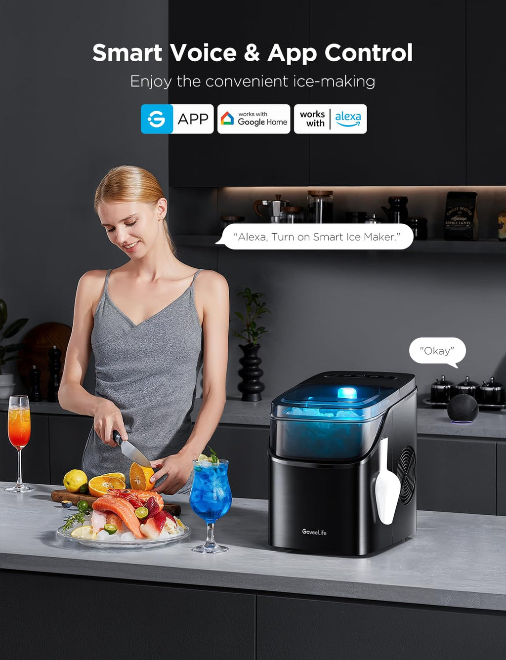 GoveeLife Smart Ice Maker, 9 Ice Cubes in 6 Mins 3 Sizes, 26lbs/Day, Silver Jansha Store