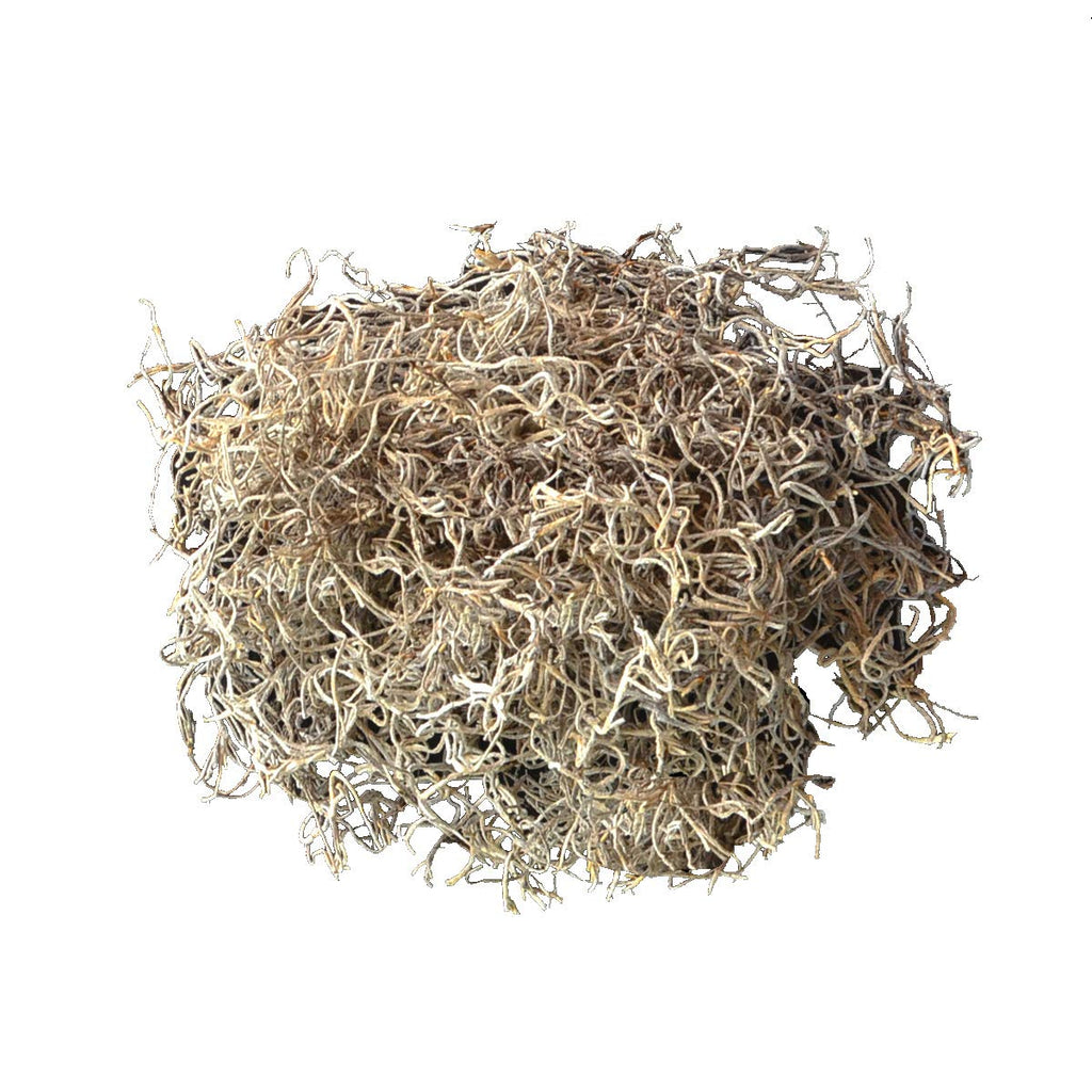 Mosser Lee ML0560 Spanish Moss, 250 Cubic Inches Jansha Store