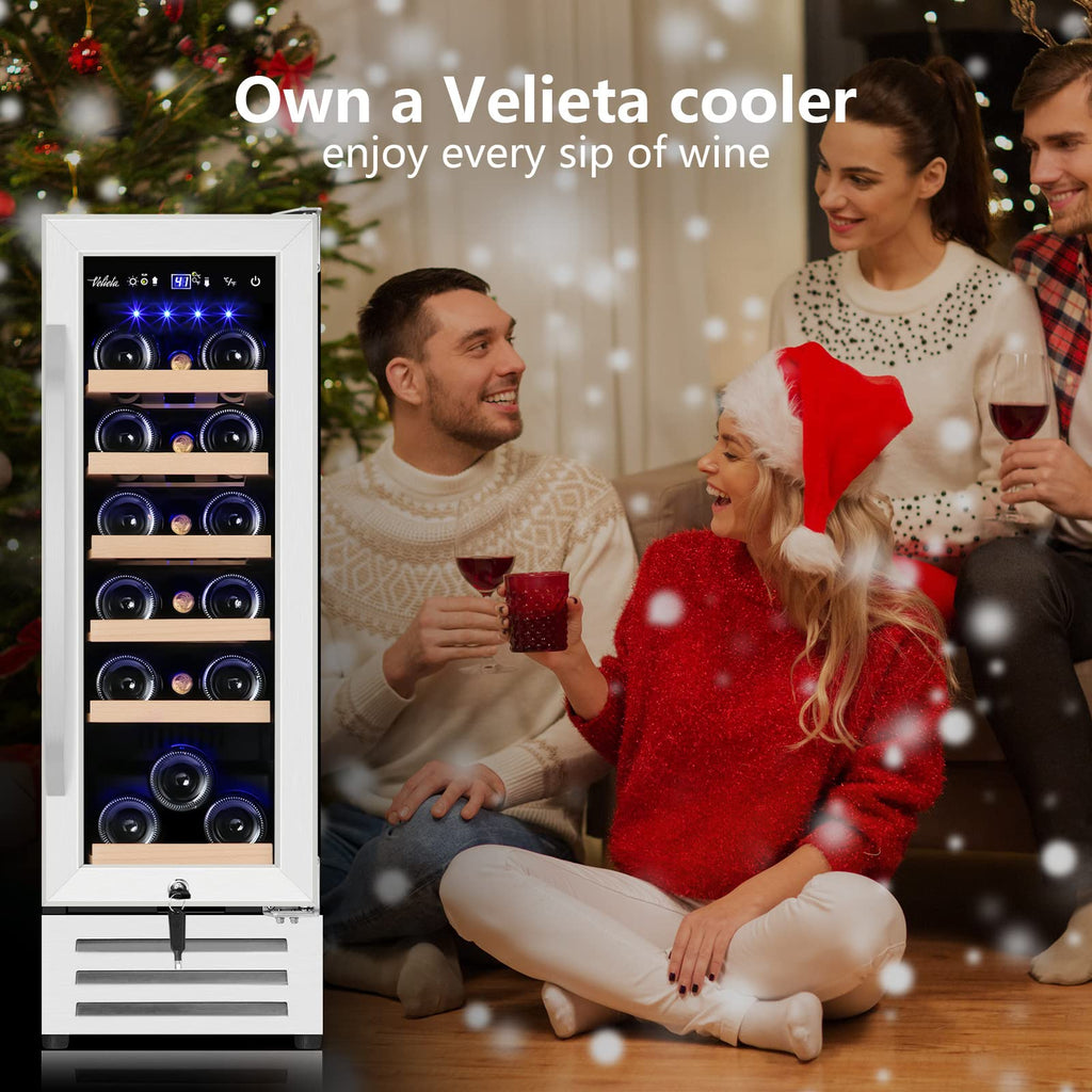 24 Inch Upgraded Dual Zone Wine and Beverage Refrigerator Cooler Jansha Store