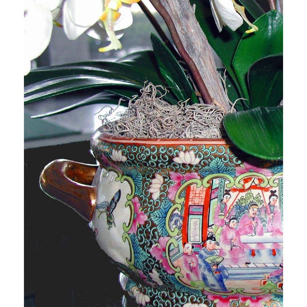 Mosser Lee ML0560 Spanish Moss, 250 Cubic Inches Jansha Store
