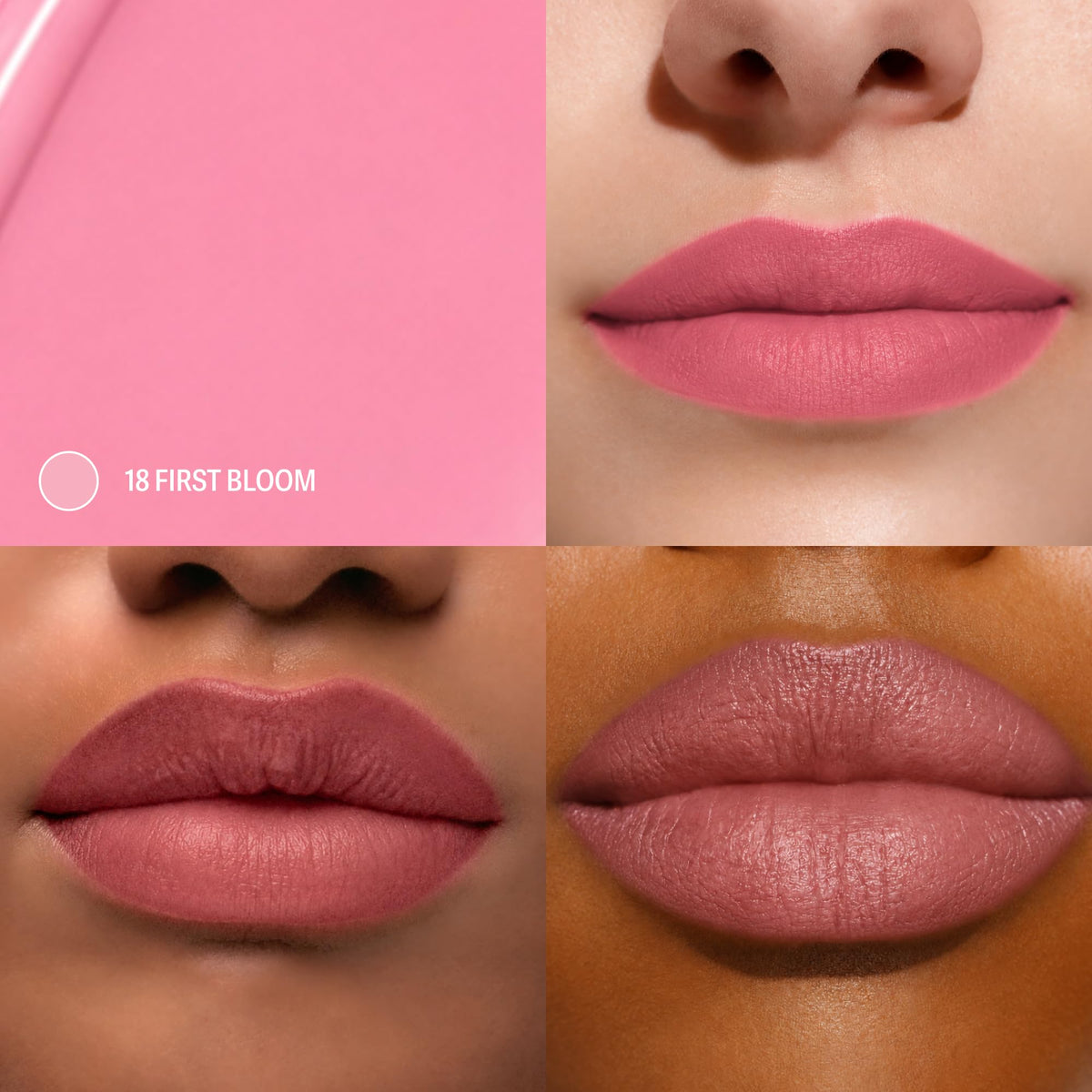 Sacheu Lip Liner STAY-N Peel Off Lip Stain, Longwear, p-INKED Jansha Store