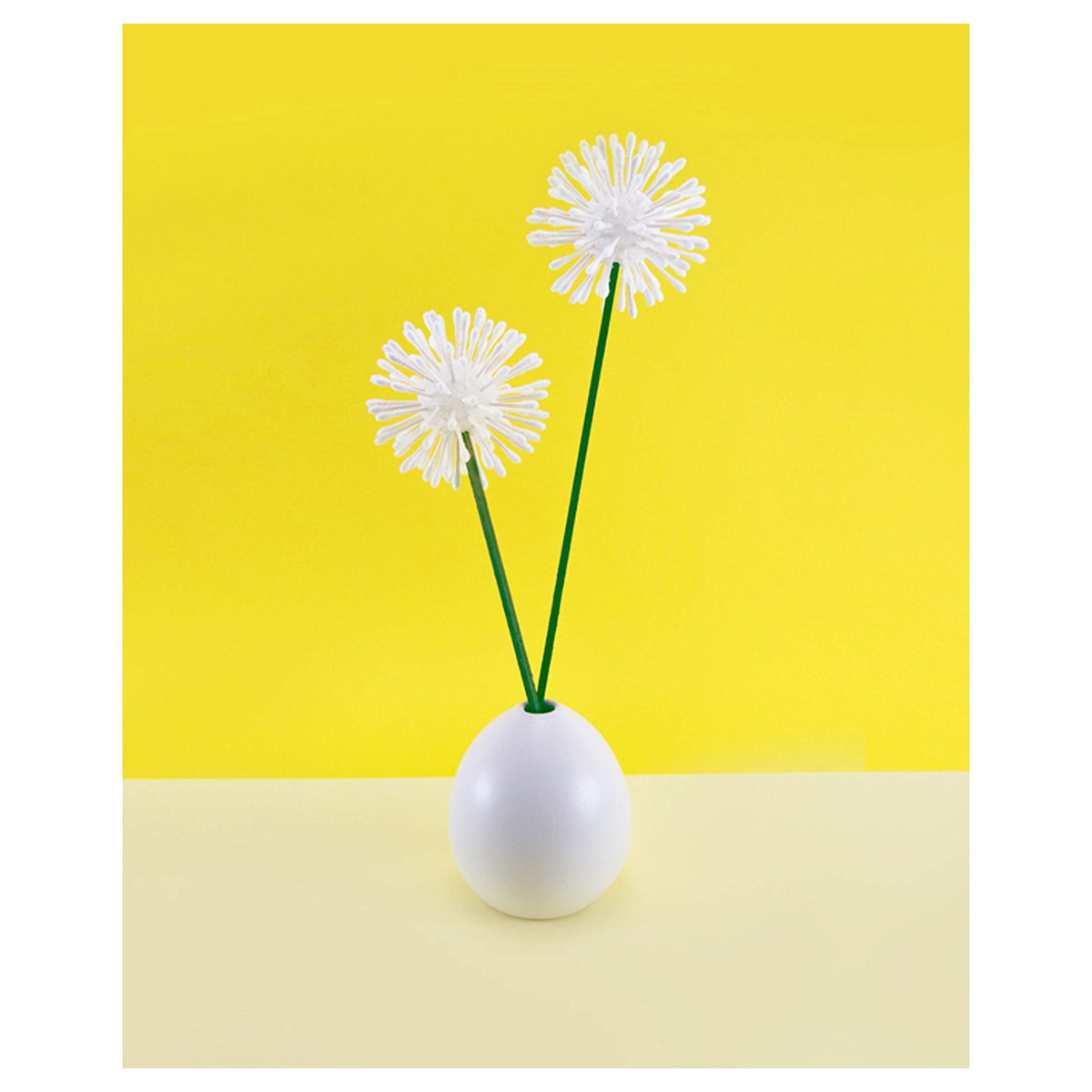 Q-tips Cotton Swabs For Hygiene and Beauty Care Original Cotton Swab Made With 100% Cotton 750 Count Jansha Store