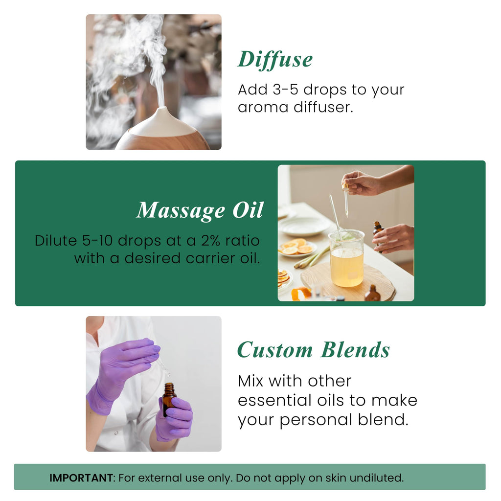 Handcraft Blends Eucalyptus Essential Oil - Huge 4 Fl Oz Jansha Store