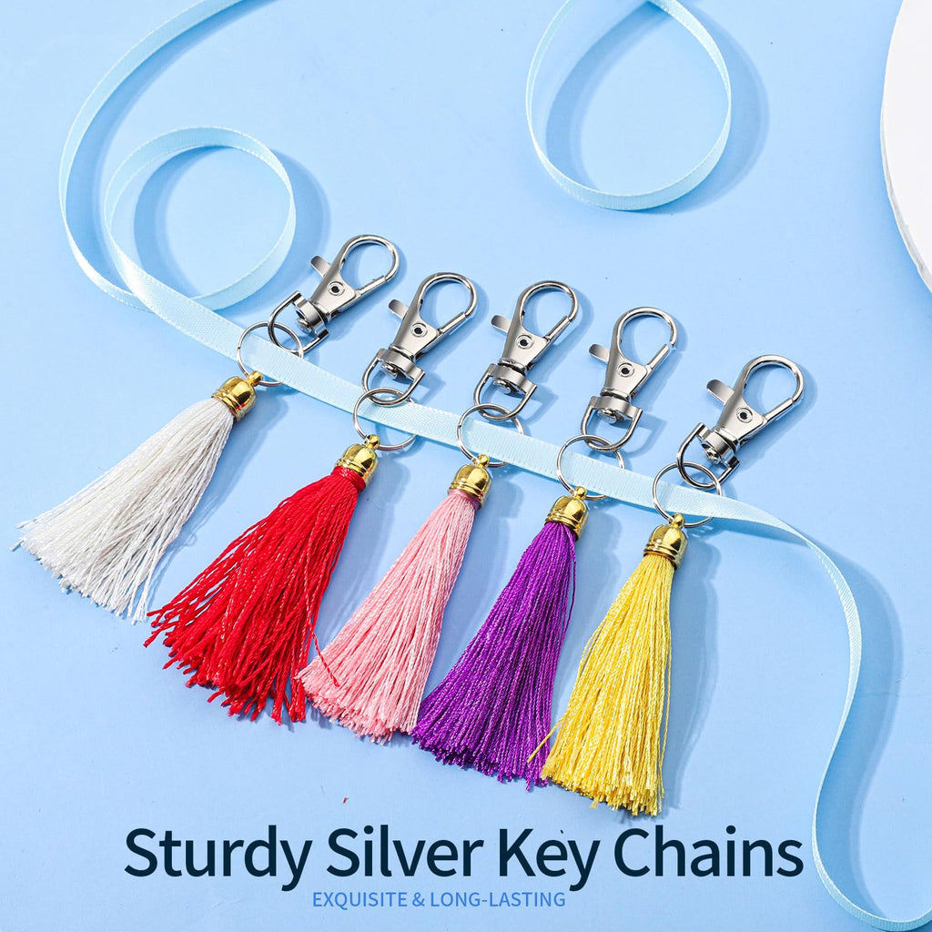LEOBRO 70PCS Lobster Claw Clasps and Key Rings, 35PCS Keychains Clips and 35PCS Key Chain Ring, Keychain Making kit for Key Chain, Jewelry Making, Art Crafts, Silver Jansha Store