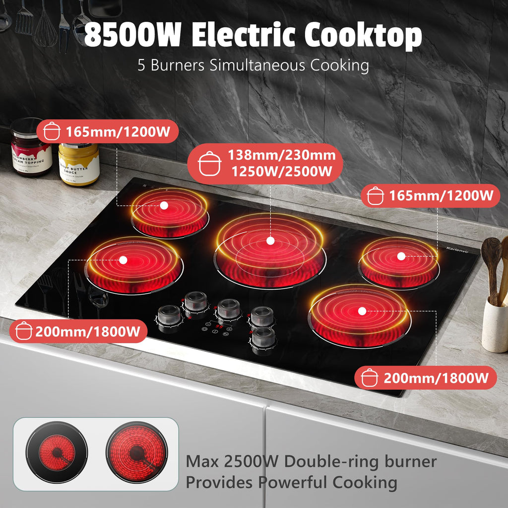 2 Burner Electric Cooktop 110V, 2000W, 24" Countertop & Built-in Jansha Store