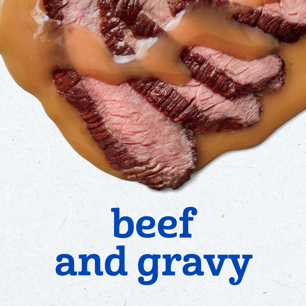 Gerber Stage 2 Chicken and Gravy Baby Food, 2.5 Oz, 10 Pack Jansha Store