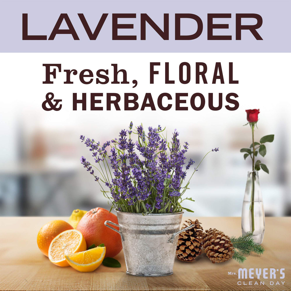 MRS. MEYER'S CLEAN DAY Hand Soap Refill, Lemon Verbena Scent, 33 Fl Oz Bottle Jansha Store