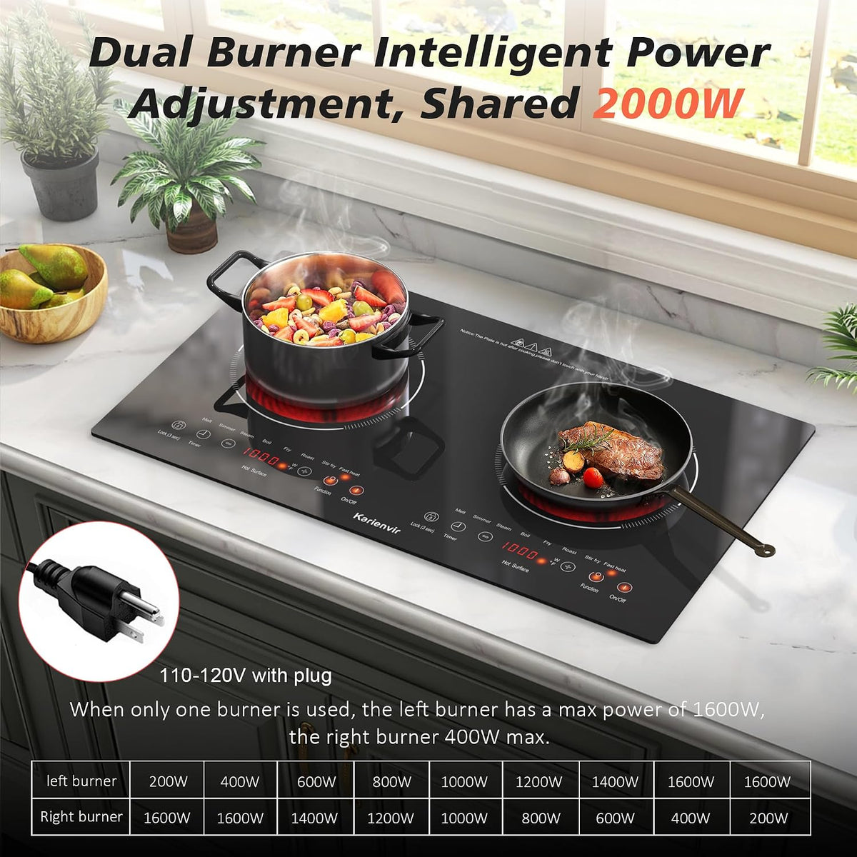 2 Burner Electric Cooktop 110V, 2000W, 24" Countertop & Built-in Jansha Store
