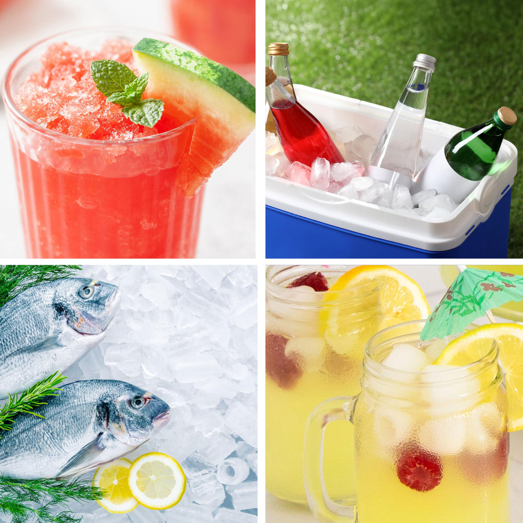 Igloo Portable Ice Maker with Scoop - Ice Maker with LED Control Panel & 1.5 Quart Water Tank - Stainless Ice Cube Maker Produces 26 Lbs. of Ice in 24 Hours with 9 Large or Small Cubes in 7 Minutes Jansha Store