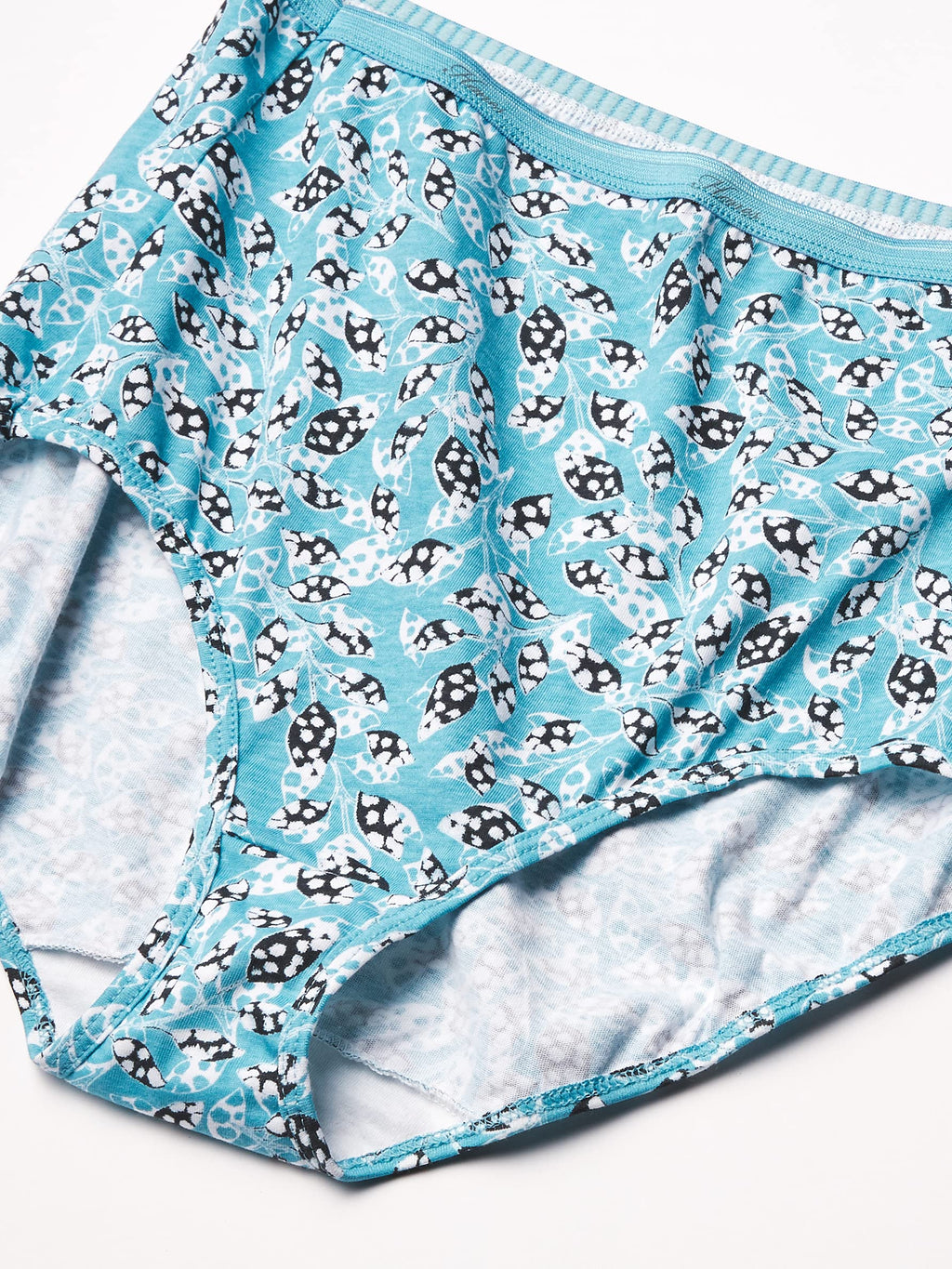 Hanes Women's Underwear Pack, 10-Pack, Full-Coverage Cotton Blend Panties, Moisture-Wicking Underwear for Women Jansha Store