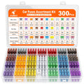 JOREST 300Pcs Car Fuse Assortment Kit, 160 Mini Blade Fuses Automotive + 90 Standard Auto Fuses + 50 Micro + Puller – Replacement for RV Camper Boat Truck (2Amp 3A 5A 7.5A 10A 15A 20A 25A 30A 35A 40A) Jansha Store