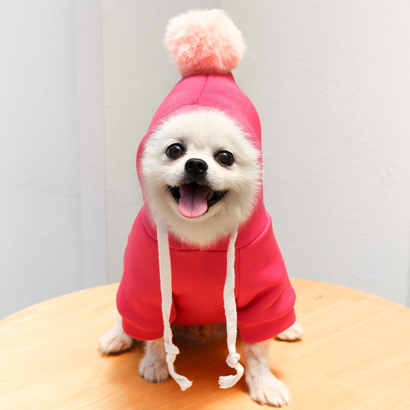 Cute Fruit Dog Clothes for Small Dogs hoodies Warm Fleece Pet Clothing Puppy Cat Costume Coat for French Chihuahua Jacket Suit CAN