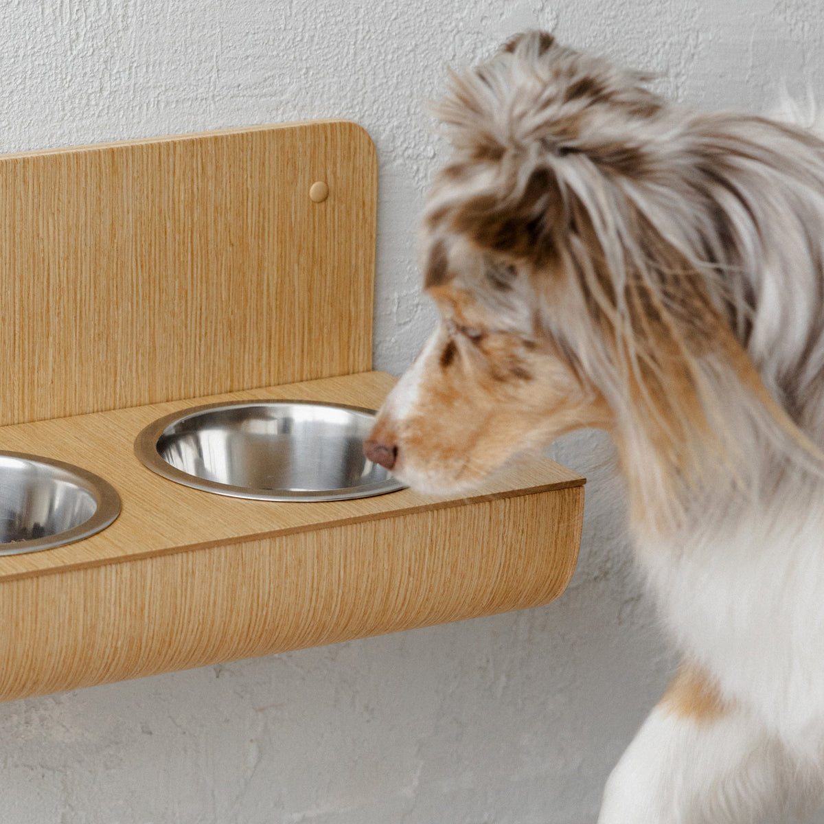 Hanging wooden dog feeder with wall protection, Floating raised dog bowls Valiai