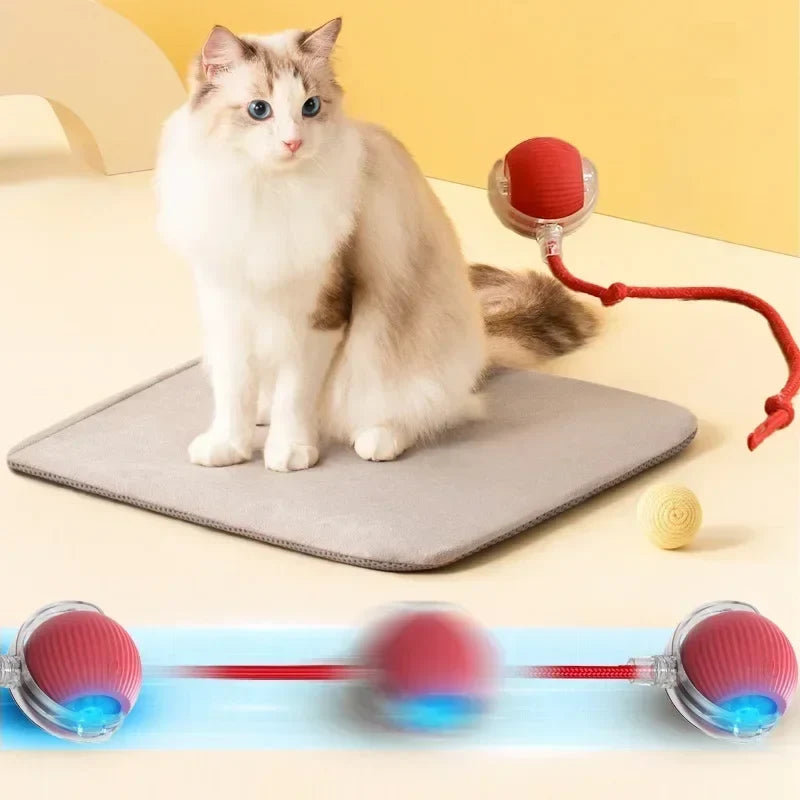 Smart Rolling Cat Ball Cashymart
