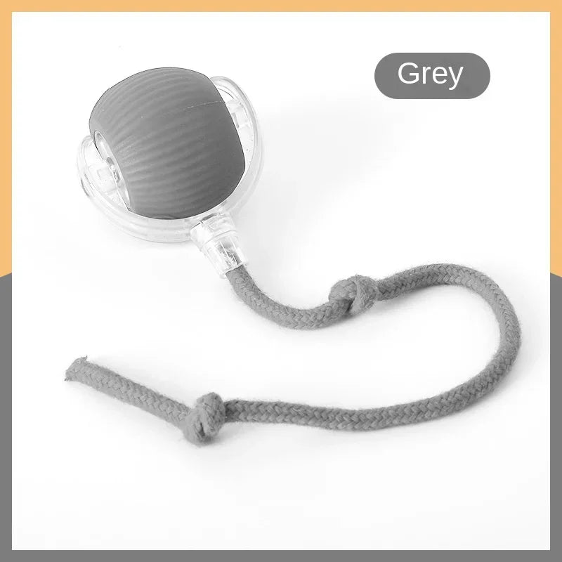 Smart Rolling Cat Ball Cashymart