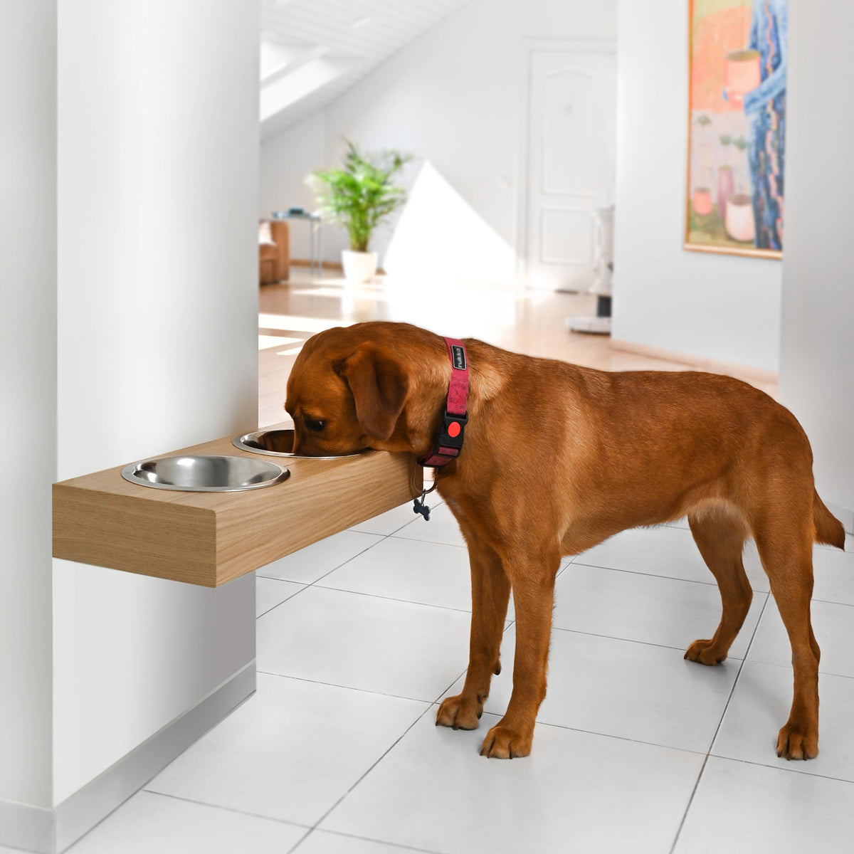 Wooden Elevated Dog Bowl Stand, 3 Sizes for Dogs and Cats Valiai