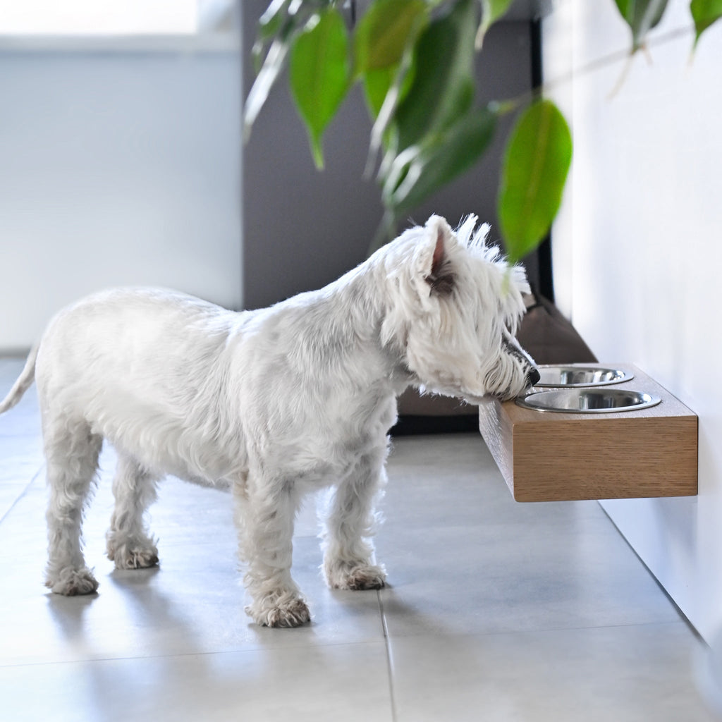 Small Dogs and Cats Wooden Elevated Stand, Young Dog Stand with Bowls Valiai
