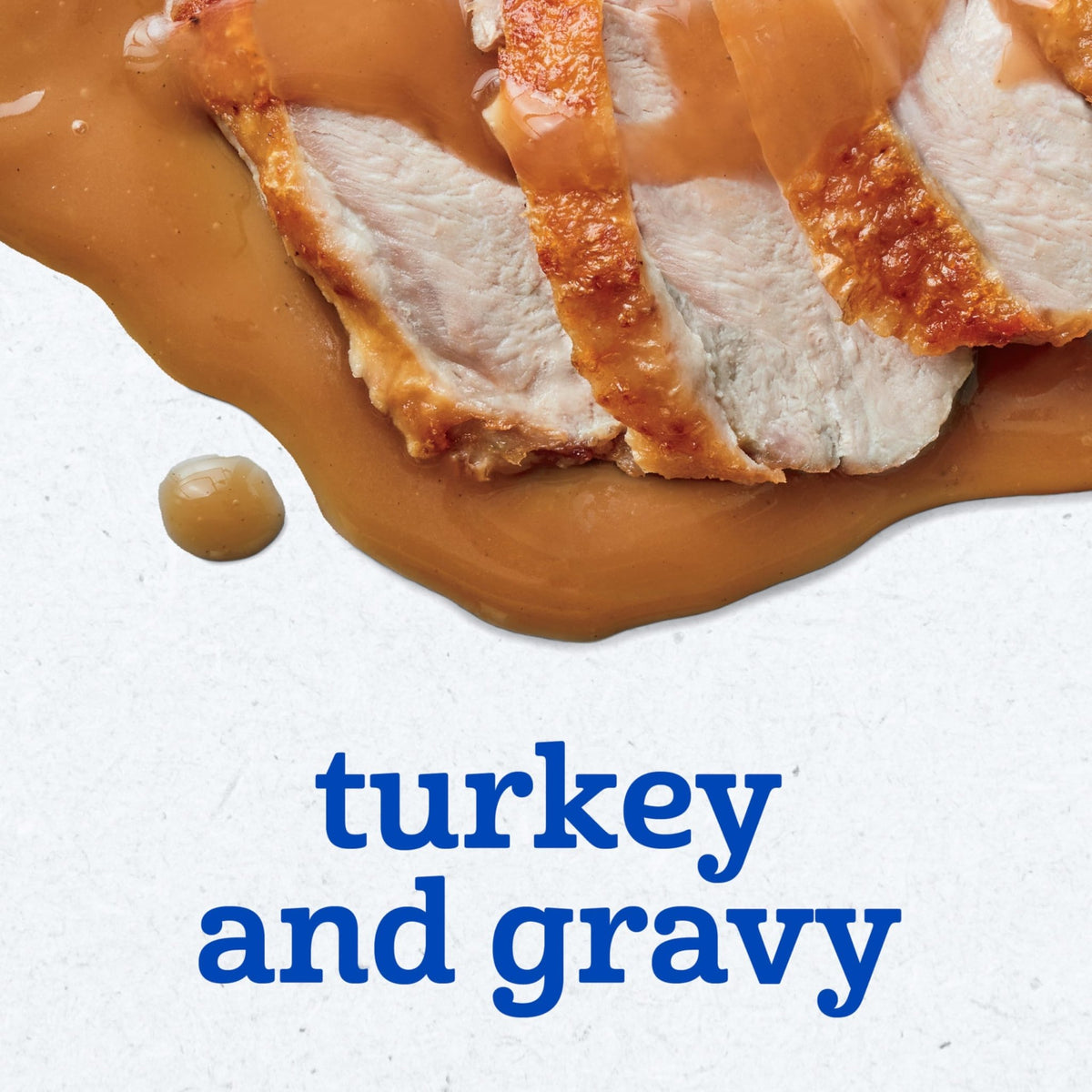 Gerber Stage 2 Chicken and Gravy Baby Food, 2.5 Oz, 10 Pack - Jansha Store