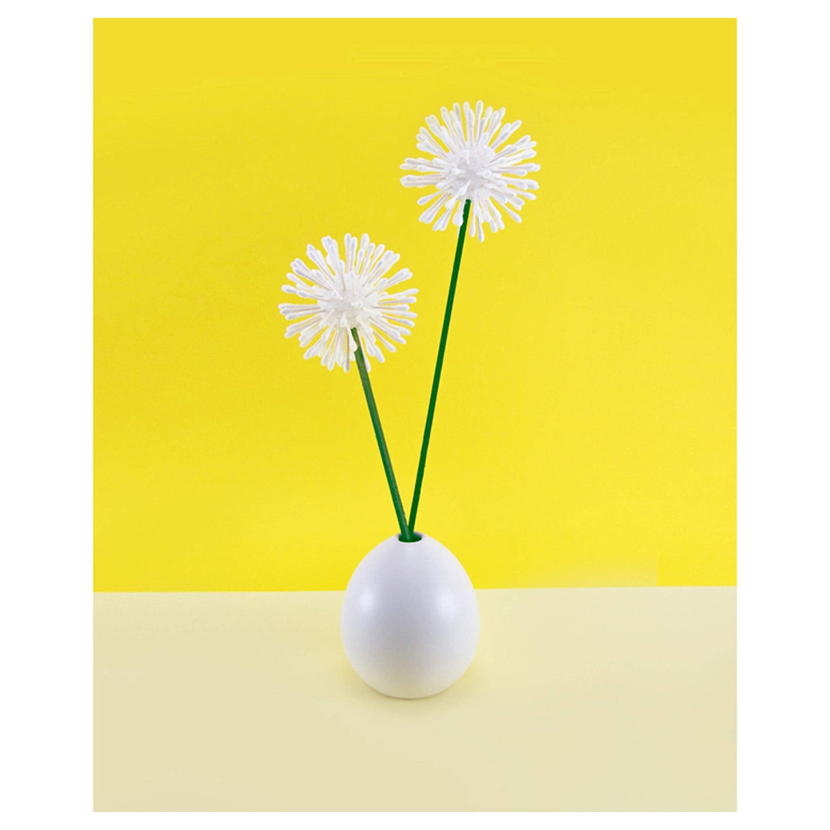 Q-tips Cotton Swabs For Hygiene and Beauty Care Original Cotton Swab Made With 100% Cotton 750 Count - Jansha Store