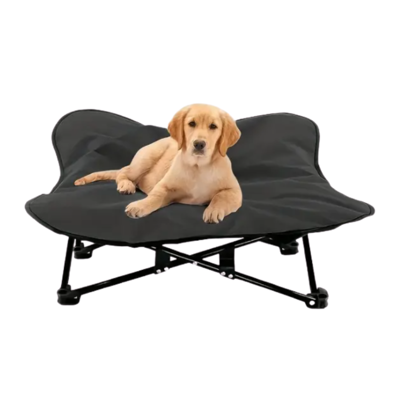 Portable Elevated Dog Bed for All Dog LPT